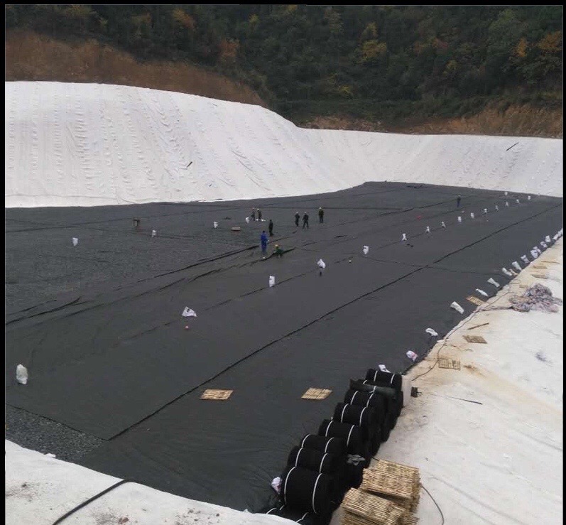 土工膜/土工膜生產(chǎn)廠家/復(fù)合土工膜