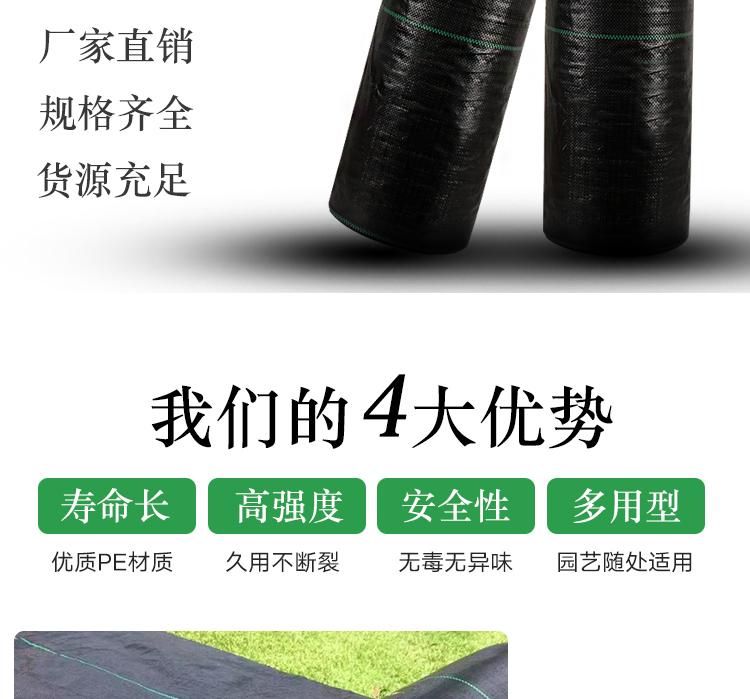 1618534092424312.jpeg 5.jpeg