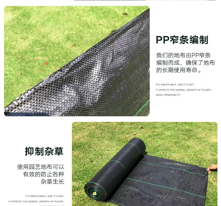 1618534105440321.jpeg 7.jpeg