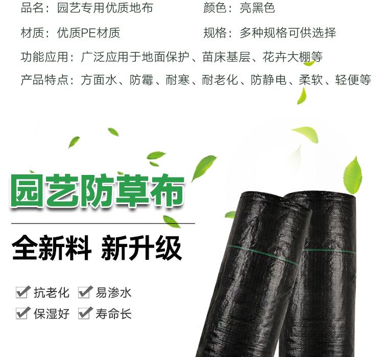 1618534729987695.jpeg 4.jpeg