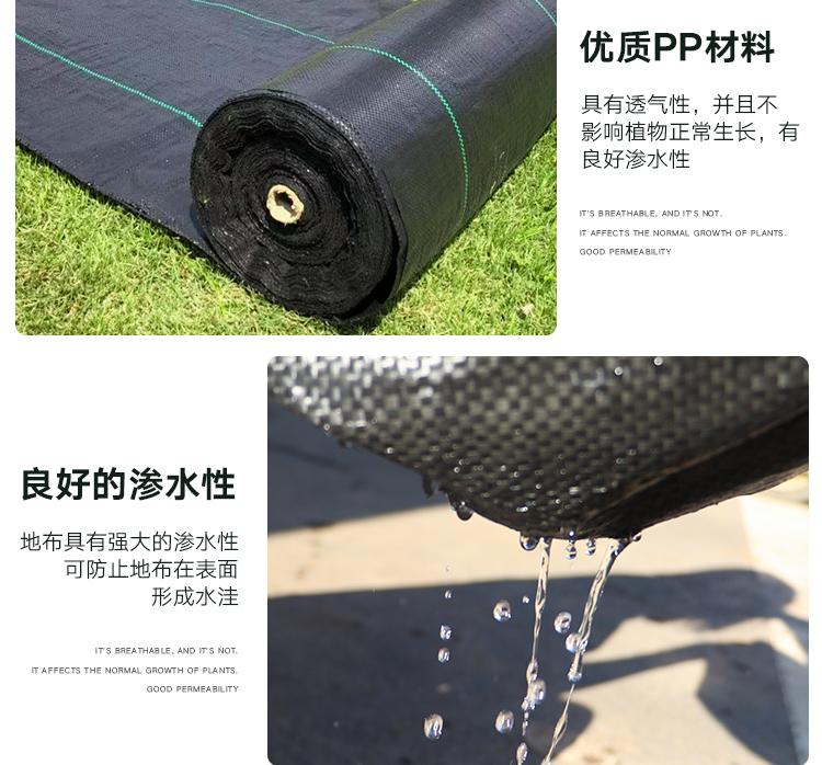 1618534747933322.jpeg 6.jpeg