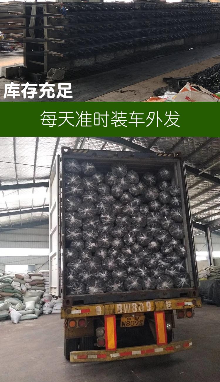 1618534766196666.jpeg 9.jpeg