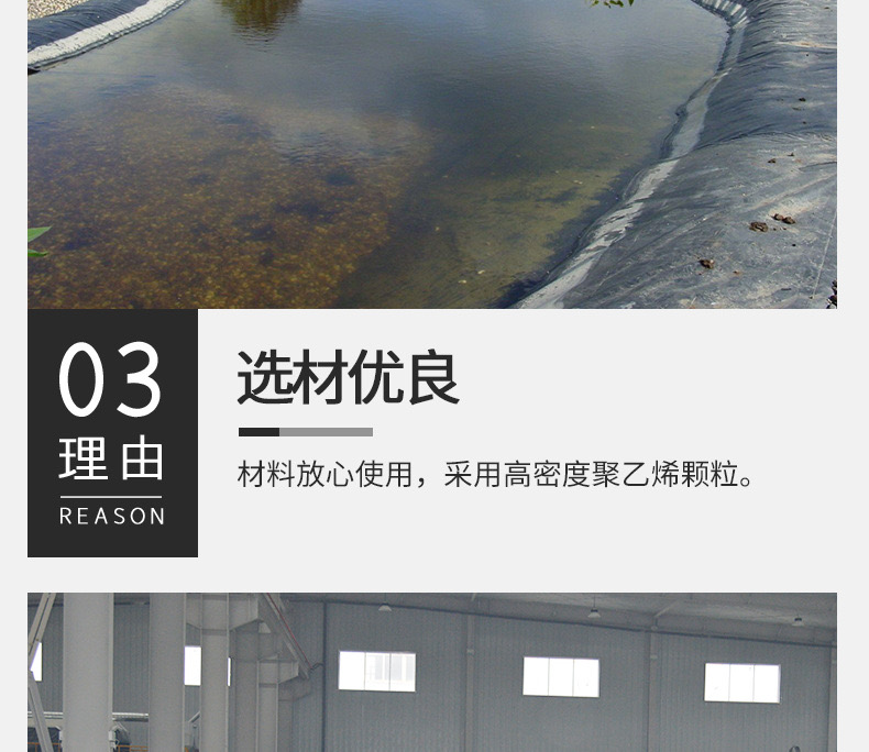 1618538155932966.jpg 8.jpg