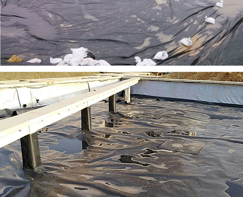 1618538179790833.jpg 12.jpg